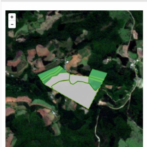 LOTE 001 - Área de 114.660,00m², sem benfeitorias, situada na Linha Três Barras, no Município de Putinga/RS - matrícula n° 8.399 do RI de Arvorezinha/RS