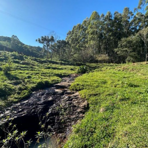 LOTE 001 - Área de 114.660,00m², sem benfeitorias, situada na Linha Três Barras, no Município de Putinga/RS - matrícula n° 8.399 do RI de Arvorezinha/RS