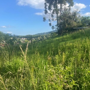 LOTE 007 - Um terreno com área de 320,17m², lado esquerdo da estrada Geral da Linha Primavera, Sinimbu-RS