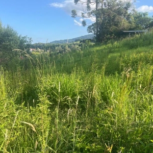 LOTE 007 - Um terreno com área de 320,17m², lado esquerdo da estrada Geral da Linha Primavera, Sinimbu-RS