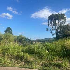 LOTE 007 - Um terreno com área de 320,17m², lado esquerdo da estrada Geral da Linha Primavera, Sinimbu-RS