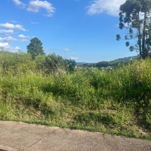 LOTE 007 - Um terreno com área de 320,17m², lado esquerdo da estrada Geral da Linha Primavera, Sinimbu-RS