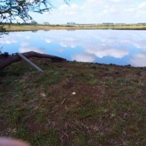 LOTE 001 - UMA FRAÇÃO DE CAMPO DE 150,57 HA, MATR.  16167 CRI ALEGRETE