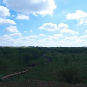 LOTE 001 - UMA FRAÇÃO DE CAMPO DE 150,57 HA, MATR.  16167 CRI ALEGRETE