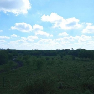 LOTE 001 - UMA FRAÇÃO DE CAMPO DE 150,57 HA, MATR.  16167 CRI ALEGRETE