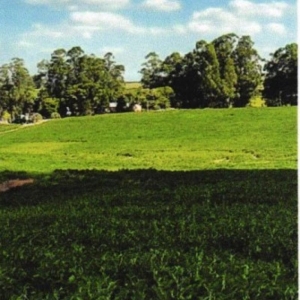 LOTE 002 - UMA FRAÇÃO DE CAMPO DE 9,4397 HECTARES, CFE MATR. 8.218 CRI ROSÁRIO DO SUL