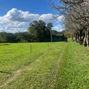 LOTE 006 - 50% de uma fração de terras com a área de 21.850,00m², no lugar denominado LINHA CARIJINHO, Sobradinho/RS