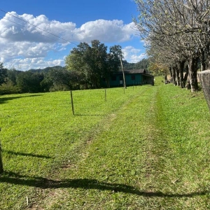 LOTE 006 - 50% de uma fração de terras com a área de 21.850,00m², no lugar denominado LINHA CARIJINHO, Sobradinho/RS