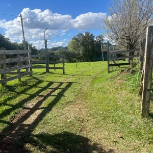 LOTE 006 - 50% de uma fração de terras com a área de 21.850,00m², no lugar denominado LINHA CARIJINHO, Sobradinho/RS