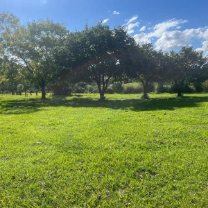 LOTE 006 - 50% de uma fração de terras com a área de 21.850,00m², no lugar denominado LINHA CARIJINHO, Sobradinho/RS