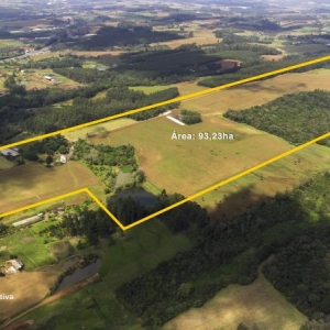 LOTE 000 - Parte ideal de 25%  de uma área de terras rural com a superfície de 932.350,61m², contendo edificações, localizada na Linha Santa Rita, Estrela/RS