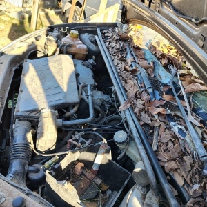 LOTE 010 - Ford/Fiesta