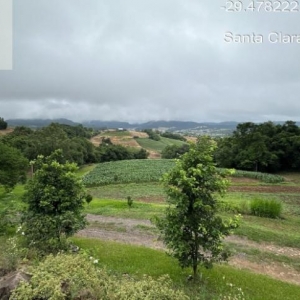LOTE 001 - Área de 101.640,00m², contendo uma casa residencial em alvenaria e dois galpões em madeira, situada na estrada secundaria a Rua José Francisco Algaier, Picada São Bento, Santa Clara do Sul/RS