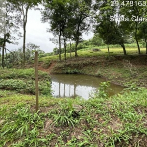 LOTE 001 - Área de 101.640,00m², contendo uma casa residencial em alvenaria e dois galpões em madeira, situada na estrada secundaria a Rua José Francisco Algaier, Picada São Bento, Santa Clara do Sul/RS