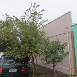 LOTE 01 - Terreno o qual se acha construído o prédio nº 94, na Rua Presidente Afonso Pena
