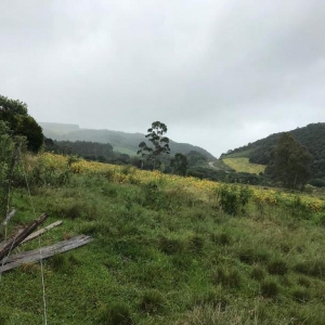 LOTE 02 - Fração de terras com 195.239,50m2, a Linha Pinhal São Francisco, Município de Gramado Xavier