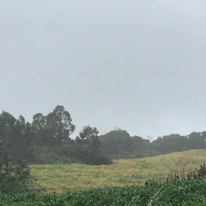 LOTE 02 - Fração de terras com 195.239,50m2, a Linha Pinhal São Francisco, Município de Gramado Xavier