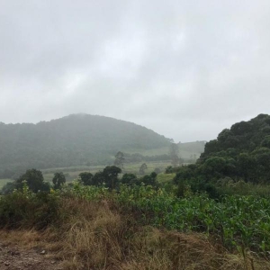 LOTE 02 - Fração de terras com 195.239,50m2, a Linha Pinhal São Francisco, Município de Gramado Xavier