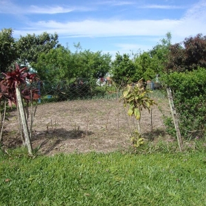 LOTE 10 -  25% de um terreno na Rua João Fischborn, nº 117