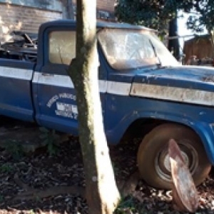 LOTE 008 - M/CHEVROLET C1504