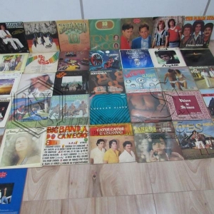 LOTE 038 - 56 Discos de Vinil - Tamanhos Diversos