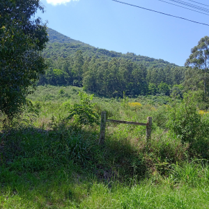 LOTE 004 - Fração de terras com 40.000,00m², dentro de uma área maior de 84.023,14m², localizada na Linha Harmonia, Teutônia/RS.