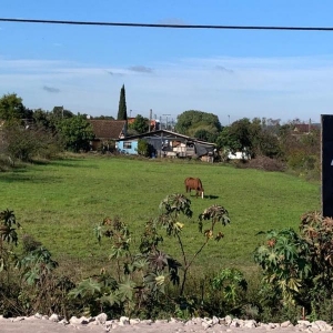 LOTE 010 - PANTANO GRANDE/RS - A fração ideal do terreno, com área superficial de 1.992,00m²