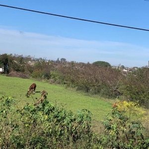 LOTE 010 - PANTANO GRANDE/RS - A fração ideal do terreno, com área superficial de 1.992,00m²