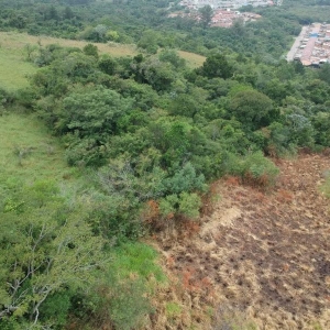 LOTE 001 - Área para loteamento de 57.612,45m² em Sapucaia do Sul/RS