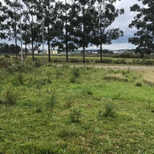 LOTE 01 - LOTE 001 - Imóvel matrícula nº 18.987 - São Gabriel