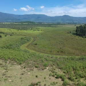 LOTE 001 - Área de terras rural com 80.198,40m²