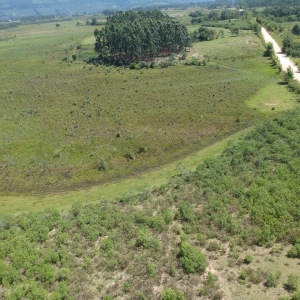 LOTE 001 - Área de terras rural com 80.198,40m²