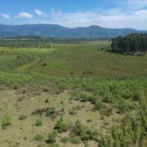 LOTE 001 - Área de terras rural com 80.198,40m²