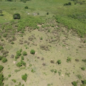 LOTE 001 - Área de terras rural com 80.198,40m²