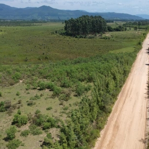 LOTE 001 - Área de terras rural com 80.198,40m²