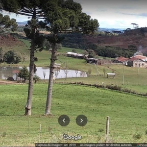 LOTE 01 - LEILÃO JUDICIAL DE UMA GLEBA DE TERRAS, CAMPOS E MATOS EM FAZENDA DOS ILHÉUS DISTRITO DE CRIÚVA – CAXIAS DO SUL/RS