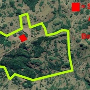 LOTE 01 - LEILÃO JUDICIAL DE UMA GLEBA DE TERRAS, CAMPOS E MATOS EM FAZENDA DOS ILHÉUS DISTRITO DE CRIÚVA – CAXIAS DO SUL/RS