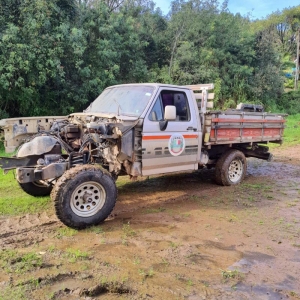 LOTE 004 - Ford/F1000 4x4 D, placa ADV 1127, ano/modelo 1993/1994