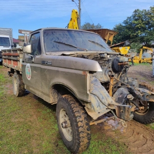 LOTE 004 - Ford/F1000 4x4 D, placa ADV 1127, ano/modelo 1993/1994