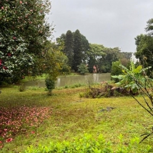 LOTE 01 - Imóveis