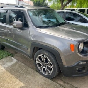 LOTE 01 - Jeep/ Renegade