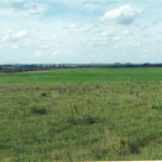 LOTE 005 - Uma fração de campo de 3.235.094 m², Matr. 14.458 CRI de Alegrete.