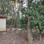 LOTE 01 -  LOTE URBANO - SANTO AUGUSTO - RS