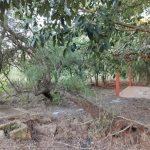 LOTE 01 -  LOTE URBANO - SANTO AUGUSTO - RS