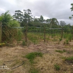 LOTE 017 - Fração ideal de 16,66% da área de 25.097,57m²