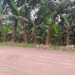 LOTE 018 - Fração ideal de 16,66% da área de 3.689,00m²