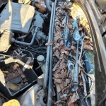 LOTE 005 - Ford/Fiesta