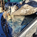 LOTE 005 - Ford/Fiesta