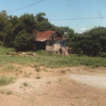 LOTE 001 - Área de 151.250,00m², contendo uma casa de madeira e uma estrebaria, situada na Linha Fernando Abott, Vespasiano Corrêa/RS