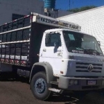 LOTE 014 - VW 13.150, placas AJO4E43, chassis 9BWX2VF281RY, ano/modelo 2000/2000, na cor branca,  RENAVAM nº 00747149437.